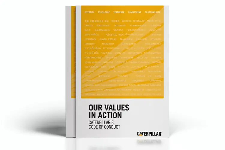 Values In Action